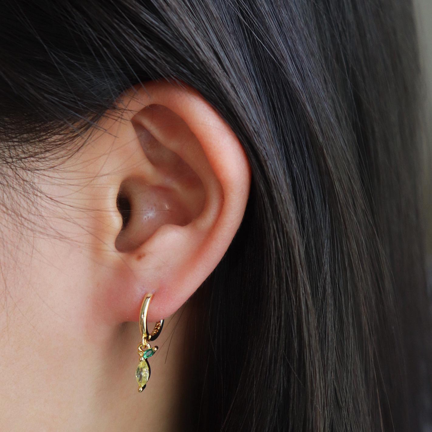 Summer Fruits Hoop Earrings